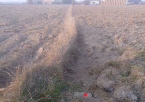 Uwolnić fosfor z gleby – praktyczne rady dla rolników