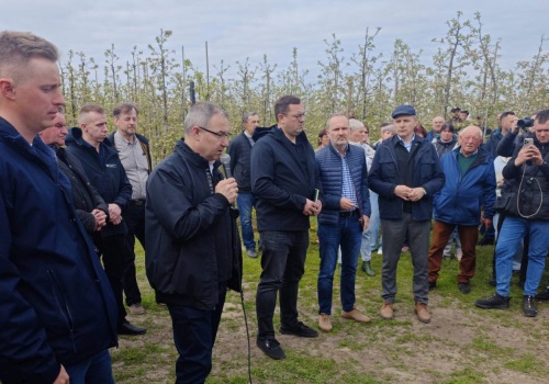 Sadownicy załamują ręce, mróz zniszczył pąki i przyszły plon. Politycy zapewniają o wsparciu