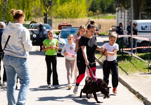 Piknik w schronisku dla zwierząt w Skaryszewie. Wspólna zabawa, której towarzyszył szczytny cel
