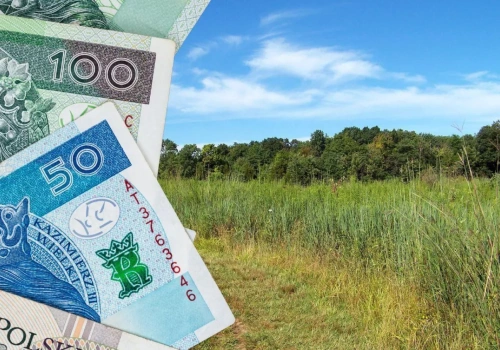 Prawie 70 tys. zł za hektar łąki? Rolnicy przecierają oczy