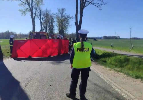 Poważny wypadek na DW650. BMW uderzyło w drzewo, droga jest zablokowana