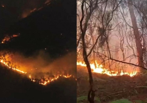 Pożar trawi Toskanię. Tysiące osób ewakuowanych