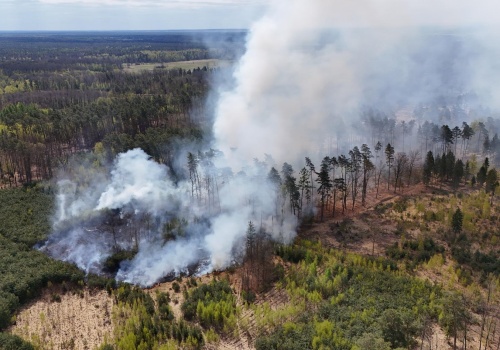 Wielki pożar lasu na Podkarpaciu. W akcji gaśniczej pomógł dron