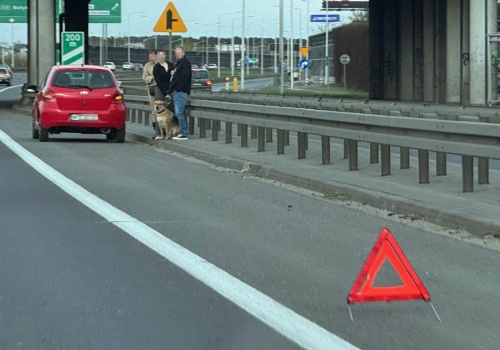 Czy samochody spalinowe psują się częściej niż elektryki? Najnowszy raport nie pozostawia złudzeń