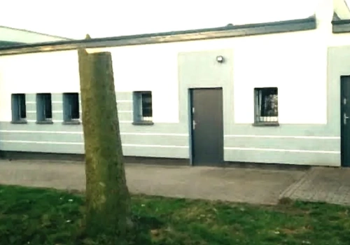 Maciej Drozd wyjaśnia wycinkę świerków w Silnie. „To etap przejściowy”