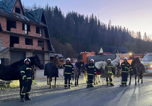 Alarm o czwartej nad ranem. Pod Zakopanem złapali bandę uciekinierów. Jeden wciąż poszukiwany