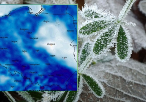 Prognozy na maj nie pozostawiają złudzeń. 