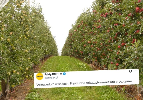 Przymrozki spowodowały nawet 100% zniszczenia niektórych upraw, minister zapowiada wsparcie 