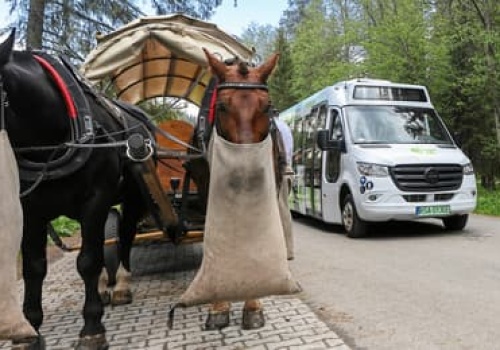 16 busów wjedzie na trasę do Morskiego Oka