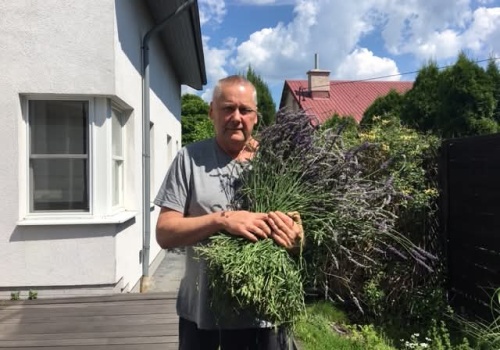 MAJÓWKA NA WSI czyli, wsi spokojna, wsi wesoła