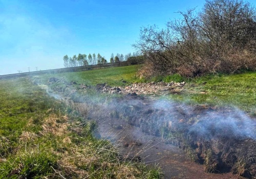 Pożar łąki blisko Ostrowa