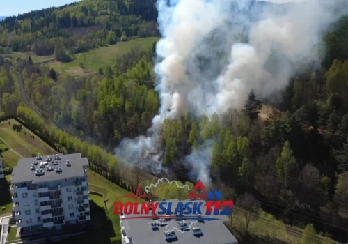 Pożar lasu na Rakownicy. Słup dymu widoczny z daleka, trudna akcja strażaków.