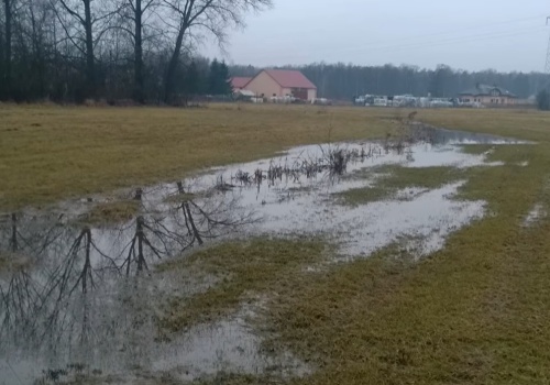 Próg na Narwi znów dzieli wieś. Rolnicy mówią o zalanych polach i 3 razy droższych żniwach
