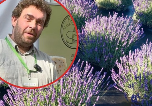 Żyją tylko z 3 hektarów. „To droga dla małych gospodarstw”