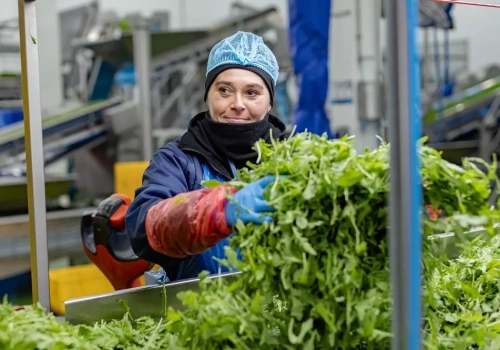 Green Factory zamyka zakład w Legnicy i zwalnia ok. 200 osób. 