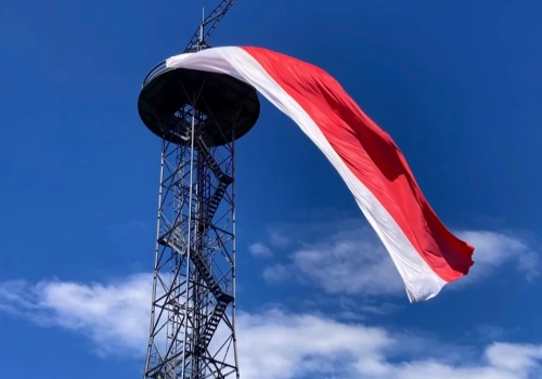 Nowa zieleń wokół wieży spadochronowej. Na razie wygląda bardzo niepozornie