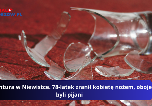 Awantura w Niewistce. 78-latek zranił kobietę nożem, oboje byli pijani