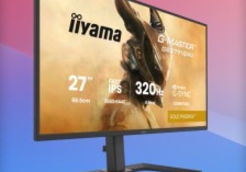 Monitor gamingowy IIYAMA G-Master GB2791QSU-B1 27″ 2K 320Hz za 969 zł w x-kom