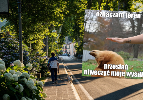 Włochy: jedno z miast nakazało sprzątać po psach, ale nie tylko kupę