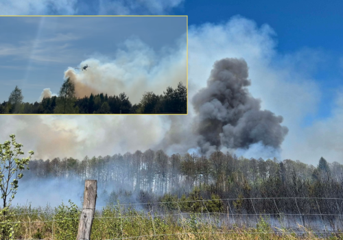 Płoną hektary lasu koło Częstochowy. Strażaków wspiera samolot gaśniczy