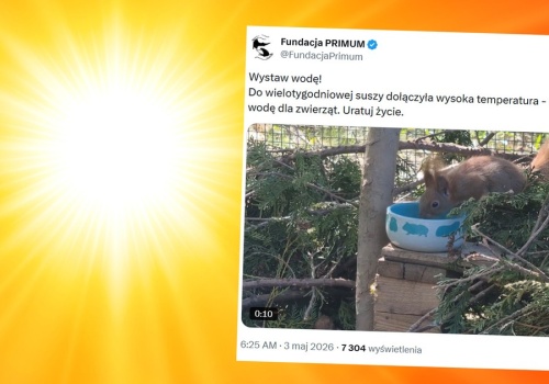 Susza i wysokie temperatury w Polsce. Apelują o jedno, zajmie ci to chwilę