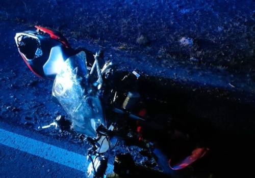 Tragiczne zderzenie motocyklistki z łosiem. Nie żyje kierująca jednośladem