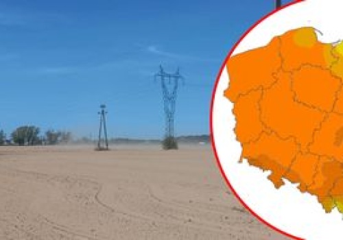 Poważna susza w Polsce. Krajobraz jak na pustyni