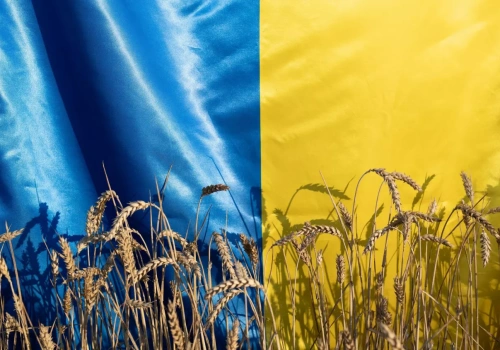 Ukraina w UE najmocniej uderzy w zboża i oleiste. Polska może zyskać gdzie indziej