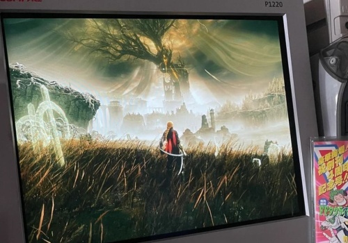 Elden Ring w połączeniu z high-endowym monitorem CRT wygląda zjawiskowo. Cud techniki z 2001 roku wciąż robi wrażenie