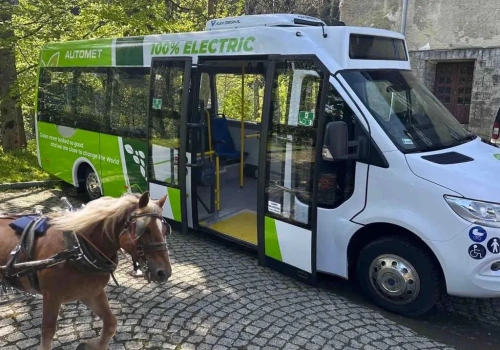 Drama pod Morskim Okiem ma się dobrze. Tym razem to nie koń padł