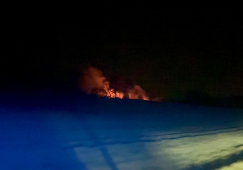 Pożar traw w Starej Wsi przy ul. Polnej - szybka akcja straży pożarnej