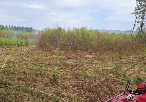 Pomorskie lasy są skrajnie suche. Strażacy już ugasili jeden pożar, wciąż walczą z kolejnym