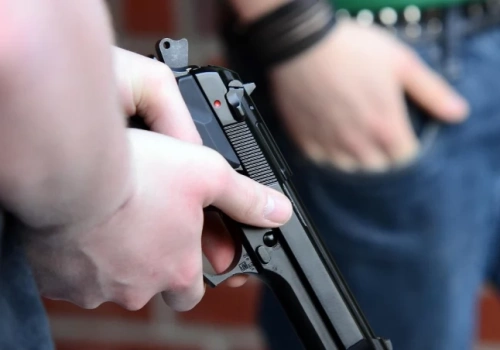 Ponad 100 tysięcy sztuk broni w rękach Dolnoślązaków. Dwie grupy dominują w statystykach