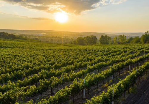 Odwiedź Cricovę – podziemne miasto wina 🍇🍷 Wakacyjna wycieczka do Mołdawii za 362 PLN ☀️🌡️