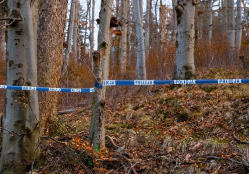 Sprawa sprzed trzech dekad wraca na tapet. Policja publikuje twarz ofiary