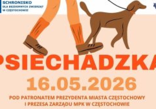X edycja PSIECHADZKI