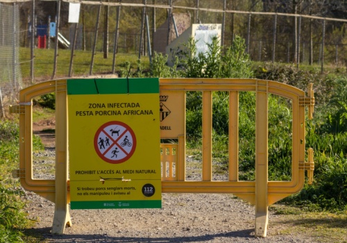 Hiszpania walczy z groźną chorobą. Nowe ograniczenia i wielomilionowe wsparcie