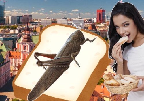 W Poznaniu sprawdzili, jak lepiej jeść owady. Metoda 