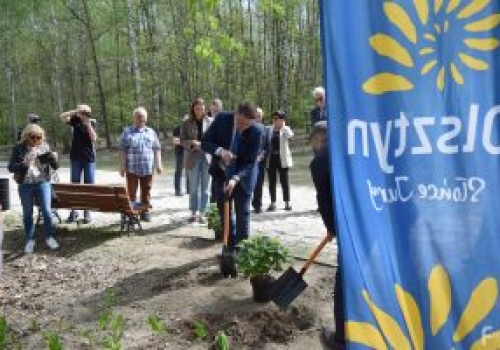 Zielona przestrzeń u stóp zamku w Olsztynie