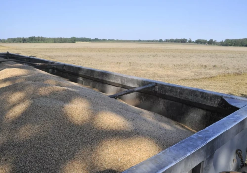 Wyższe rekompensaty dla rolników. Nawet 300 tys. euro z Funduszu