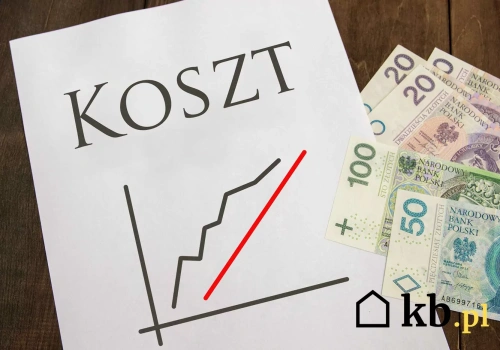 Miało być tanio, a rachunki rosną. Ten system ogrzewania rozczarowuje