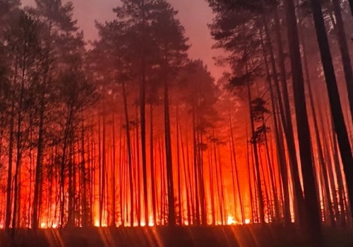 Tragedia podczas gaszenia lasu na Roztoczu. Rozbił się samolot gaśniczy, jedna osoba nie żyje AKTUALIZACJA