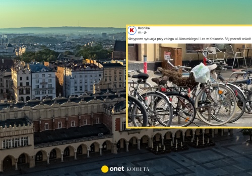 Rój pszczół obsiadł rower w Krakowie. Nagranie niesie się po sieci