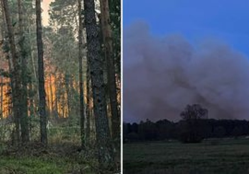 Katastrofa podczas gaszenia pożaru lasu. Nowe informacje od służb