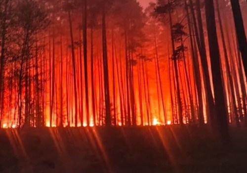 Samolot runął podczas akcji gaśniczej w powiecie biłgorajskim. Nie żyje jedna osoba