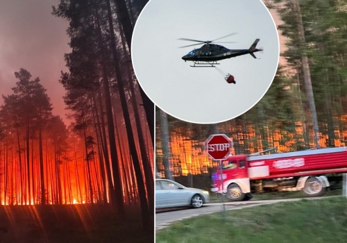 Pożar lasu na Lubelszczyźnie. Ważny komunikat dla mieszkańców okolicznych wiosek. 