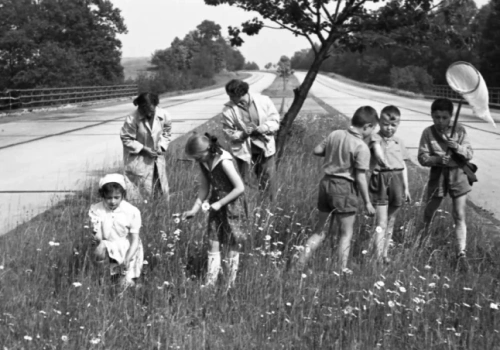 Rodzinny piknik na środkowym pasie A4. Te zdjęcia to unikaty!