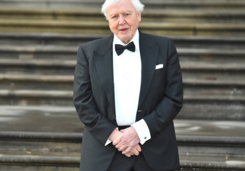 8 maja skończy 100 lat. David Attenborough odstawił dawno temu jeden produkt