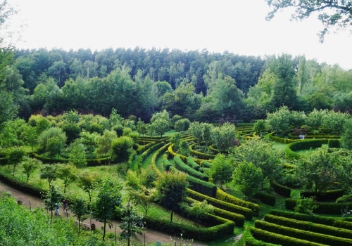 Co to jest Arboretum Bramy Morawskiej? Wyjątkowe miejsce krainy Górnej Odry