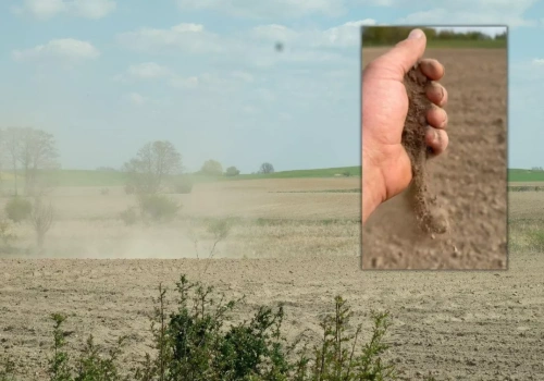„Sytuacja na polach jest krytyczna”. Rolnicy żądają pilnych komisji suszowych